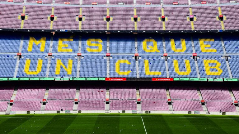 Alimentos que Aumentam a Imunidade